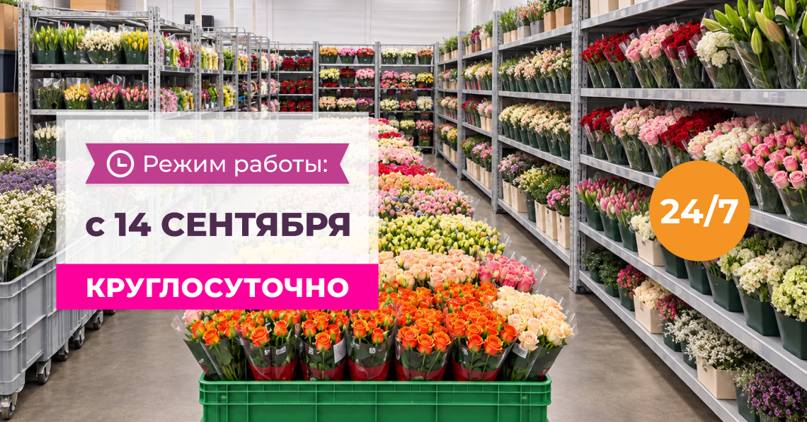 Режим работы с 14 сентября